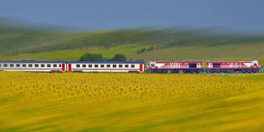 17141676501228049181