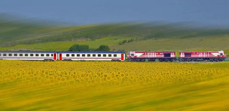 17141676501228049181