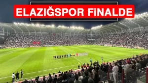 17171118011485031965