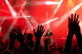 17617555411082572006