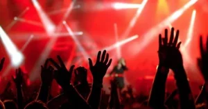 17617555411082572006