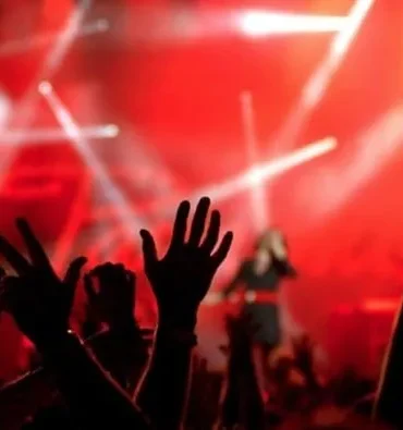 17617555411082572006