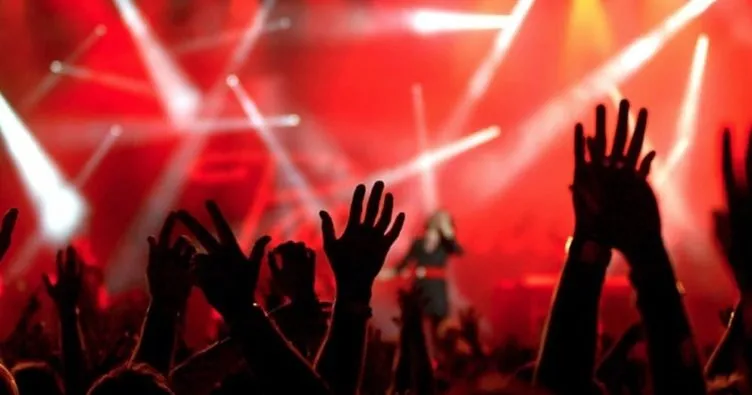 17617555411082572006