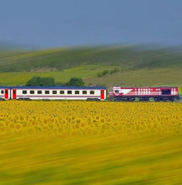 17141676501228049181